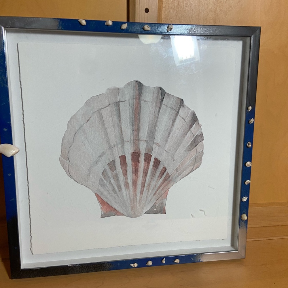 Framed Seashell Art with Blue and Black Accents